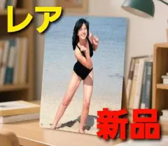 ～時限タイムセール～【新品未開封】中森明菜 激レア セクシー ブリキ 看板 水着