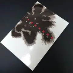 【非売品】鉄拳6 アートブック