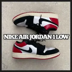 NIKE AIR JORDAN1 LOW BLACK TOE 23.5㎝ y2k
