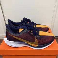 NIKE 初代ペガサスターボ 27.5センチ