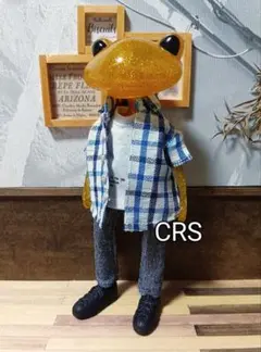 ☆CRS☆ワンダーフロッグ　：BlueSummer ：