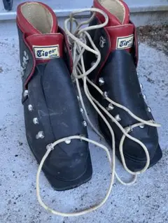 Item thumbnail for item 706d01be-348f-4b69-9c9d-28859dcbb54b