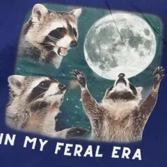 【IN MY FERAL ERA】アライグマ満月ビッググラフィック