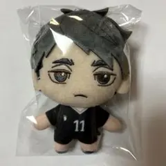 ハイキュー セガラッキーくじ D賞 ぬいぐるみ 宮治