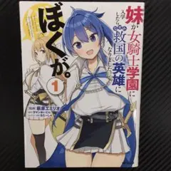 No.35335　妹が女騎士学園に入学したらなぜか救国の英雄になりました。 1巻