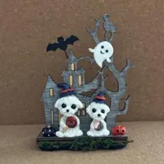 ハロウィン マルチーズ
