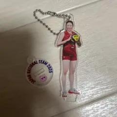 バレーボール日本代表　石川真佑　アクリルスタンドキーホルダー　ネーションズリーグ