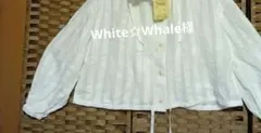 新品dgyコットンストライプカットボイルパーカージャケット