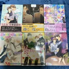 BL小説 贄は淫花を孕む 他５冊　６冊セットです。