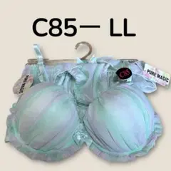 【新品未使用】PURE MAGIC C85-LL ブラジャー　パンティ　セット
