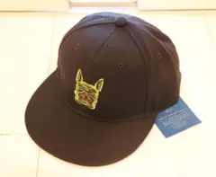 新品TESテスTHE ENNDLESS SUMMER キャップ 刺繍F