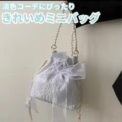 シルバーリボン付きミニバッグ