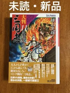 2025年最新】三国志 横山光輝 大判の人気アイテム - メルカリ