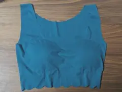 グンゼTucheトゥシェハーフトップ　Lサイズ