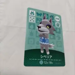 アミーボカード　シベリア　未使用