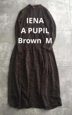 ✴︎✴︎IENA A PUPIL 茶　シースルーロングドレス　M✴︎✴︎