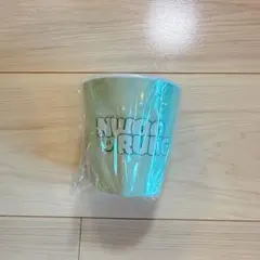 ナイヌNA INWOO KUJI ガチャガチャポン　くじA賞