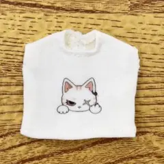 Item thumbnail for item 053be62b-80cd-4e62-ba69-bb42aaf8267c