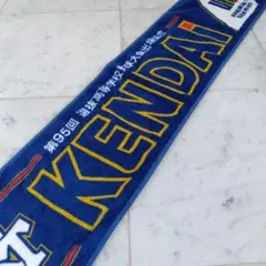 新品未使用品　健大高崎高等学校　　応援タオル　 第95回選抜大会　高校野球
