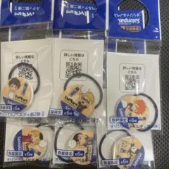 ハイキュー!!エアーサロンパス ボトルマーカー全6種