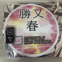 Item thumbnail for item b1a3dfab-1542-40a9-a230-9015d6103837