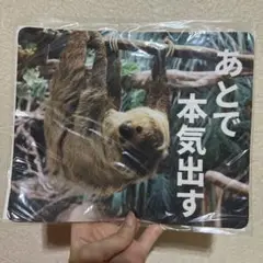 那須どうぶつ王国 マウスパッド