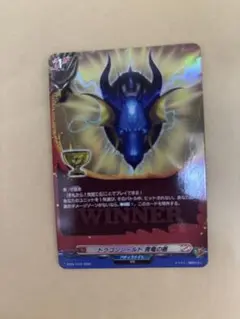 ドラゴンシールド 青竜の盾 WINNNER仕様