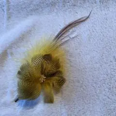 羽で作ったコサージュ