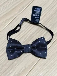 Item thumbnail for item a9c64b57-4dcd-4678-820d-9a0c9e9298d0