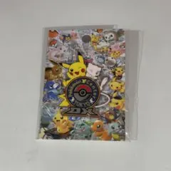【未開封品】ポケモンセンター東京DX ピンズ