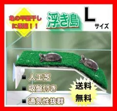 かめ 亀 浮島 日向ぼっこ お散歩 飼育 ペット Lサイズ かわいい かめさん