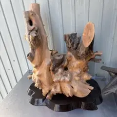 Item thumbnail for item 24f30953-1ed0-4548-b7dc-11f37aece529