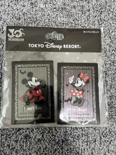 ディズニー　ハロウィン　缶バッジ