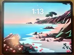 iPad Pro 13.9インチ512GB+cellularモデル