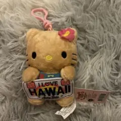 ハワイ限定日焼けキティ　新品タグ付きABC正規品
