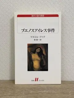 ブエノスアイレス事件