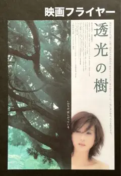 2025年最新】透光の樹 秋吉久美子の人気アイテム - メルカリ