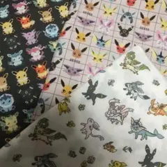 ブイズ③点セット　はぎれ　生地　布