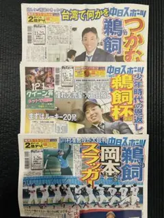 中日　中日ドラゴンズ　中日スポーツ名古屋版　 鵜飼航丞【未読品】