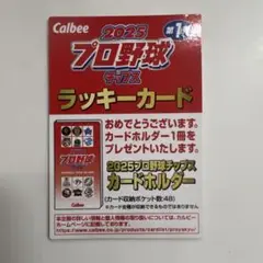 プロ野球チップス 第一弾　ラッキーカード　2025