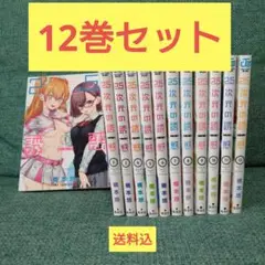 25次元の誘惑 全12巻セット