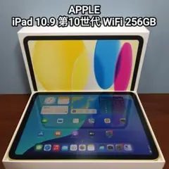 (美品) iPad 10.9 第10世代 WiFi 256GB