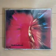 【国内版歌詞EP】Flesh Balloon・Pale Saints