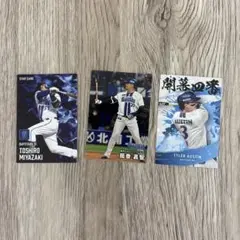 プロ野球チップス2025第二弾