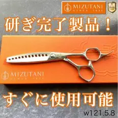 2025年最新】ミズタニシザー アクロの人気アイテム - メルカリ