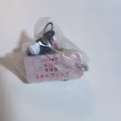 2025年最新】アイドルホースミニ スキルヴィングの人気アイテム
