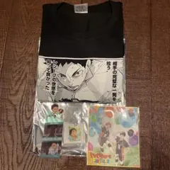 【4点セット】ハイキュー コマT ブックマーク アクキー ファンパーク色紙 岩泉