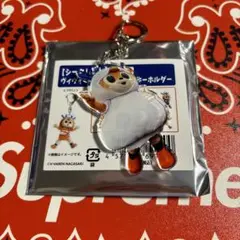 ヴィヴィくん　アクリルキーホルダー　日常　vファーレン長崎 グッズ　①