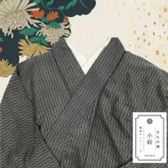 Item thumbnail for item f0739fe5-2383-4a78-bab4-4e65f1c681bc