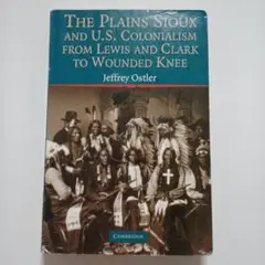 the plains sioux and u.s. colonialism
